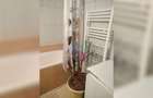 Apartament 2 camere decomandat Zorilor