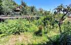 Casa unifamiliala 120 mp utili,  cu 477 mp teren, garaj, Dambul Rotund - 16