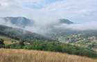 Teren panoramic 6.628 mp Dealul Muncelus, sat Musca, com. Lupsa (Apuseni), jud. Alba, ideal pentru casa de vacanta. - 3