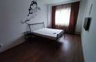 Garsoniera decomandata de inchiriat - Str. Colonia Metrom - 3