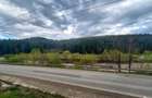 Oportunitate Unica de Investi?ie Domeniu de 2,1 Ha in Bucovina (Suceava) - 10