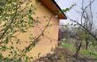 De vanzare casa +teren 16k mp in BARCANESTI / IL - 2