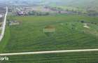Teren de vanzare sau inchiriat 19ha intravilan, Agnita,Sibiu - 11