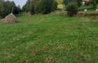 teren cabana Vladeasa -intravilan -12000 euro - 2