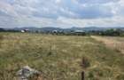 Casa P+M la gri, 119 mp utili si teren de 1.000 mp Dumbrava Rosie