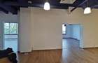 Herastrau exclusivist office 160mp - 14