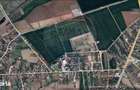 Teren Ciolpani 15.000 mp oportunitate posibilitate lotizare 5000 mp