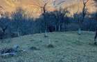 Vand pamant in interiorul parcului DOMOGLED la 20 km de HERCULANE - 8