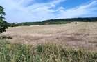 Teren extravilan de vanzare Barsau, jude?ul Hunedoara 7 hectare