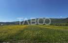Teren de vanzare cu suprafata de 3000 mp zona industriala Poplaca - 1