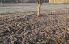 Inchiriez in Timisoara teren intravilan