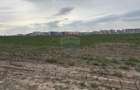 Teren 12.651 mp langa Metrou Berceni | Perfect Dezvoltare Rezidentiala - 5
