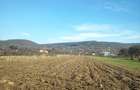 Teren intravilan de vanzare - 5
