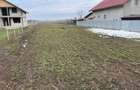 Teren intravilan de vanzare in dridu Ialomi?a situat - 1