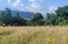 Teren intravilan Campulung Arges - 2