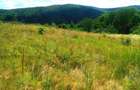 12,4 ha teren comasat,jud.Sibiu