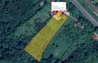 Casa D+P+E 427mp + Teren 4850 mp, Robesti - Valcea - 4