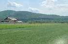 Teren de 2000 mp, în Central - 2