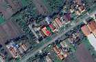 Casa si teren localitatea Cenad, comuna Cenad, jud. Timis - 3