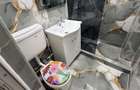 Apartament 2 camere Rosiori de vede - 7