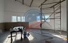 HALE INDISTRIALE SAU BIROURI ZONA CARCEA SAU BRESTEI - 2