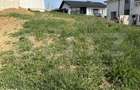 Teren intravilan, 500 mp, zona Dumbrava 2 - 1