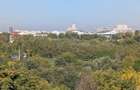Tineretului Parc Blocul francez