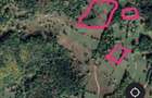 Teren de 35000 mp, în Scărișoara - 4