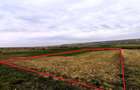 De vanzare teren agricol Ulileacu de Munte (Paleu)