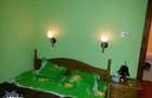 Inchiriere apartament ultracentral - 2