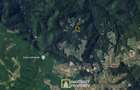 De vanzare teren extravilan 8,2037 ha padure ?i pa?une Borod, Bihor - 8