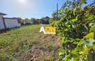 Casa S+P, 4 camere, 2 bai, 735 mp teren, Cetate, zona HCC