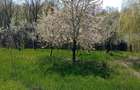 Casa de vanzare in Jud. Arges. - 2