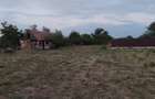 Casă cu Teren 2900 Mp în Izvoru (Gogoșari) - 3