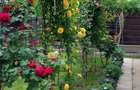 Particular vand casa Buftea - 6