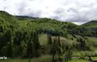 Extravilan + Intravilan | Satic-Rucar | Cadru natural | Turistic