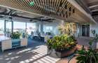 Birouri premium in SibiuSpatii flexibile moderne pentru companii - 4