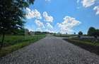 TEREN INTRAVILAN | SFINTU ILIE, SUCEAVA | 40.000 /parcela - 2