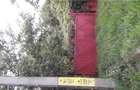 Teren vis-a-vis de motel Bucium - 1