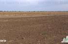 Oferim spre vanzare 6 loturi de teren extravilan (agricol) in Petrachi
