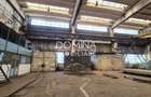 Inchiriere complex industrial versatil *hale - birouri - platforme betonate* - 4