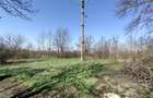 Rachitova, Casa 8 Incaperi, 3800mp Teren, Usor Negociabil - 14