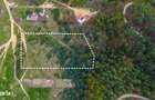 Teren intravilan de 1 ha cu vedere la munte Zarnesti, Brebina - 9