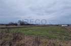 RECO Teren intravilan in Bors cu front mare - 2