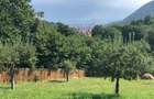 De vanzare teren unic in Brasov (vedere panoramica asupra orasului) - 6