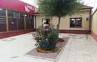 Spatiu 142 mp central, deschidere la DN2A, M Kogalniceanu, jud Constanta - 2