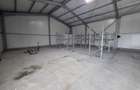 Hala 600 mp (H: 6.5m) cu platforma betonata 2000 mp, langa A3 - 16