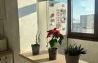 inchiriere apartament 1 camera - 2