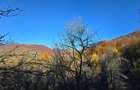 Vand Teren Arefu, Arges zona Cetatea Poenari (Vlad Tepes), Transfagarasan - 4