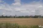 -Ocazie investitie imobiliara Buzau- Teren intravilan 1.14 ha, deschidere 81.5 m - 2